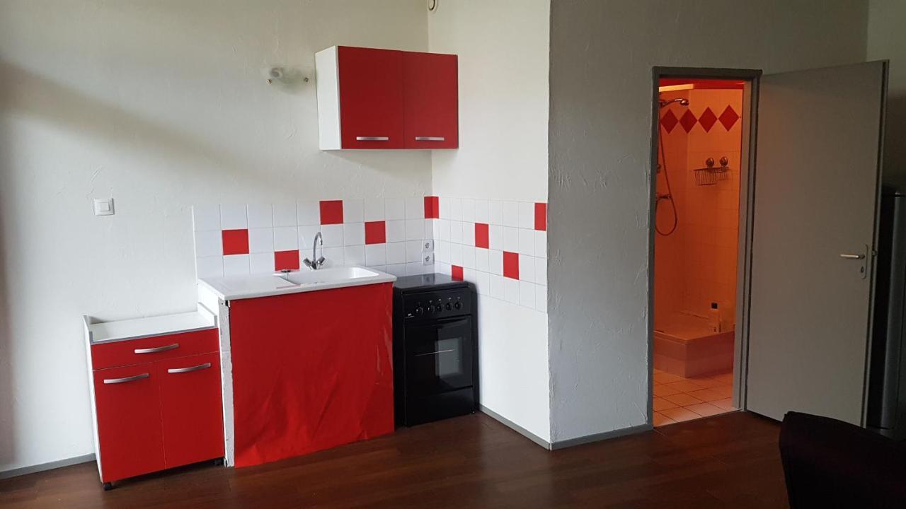 Grand Studio Et Jolies Chambres A Louer Passins Zewnętrze zdjęcie